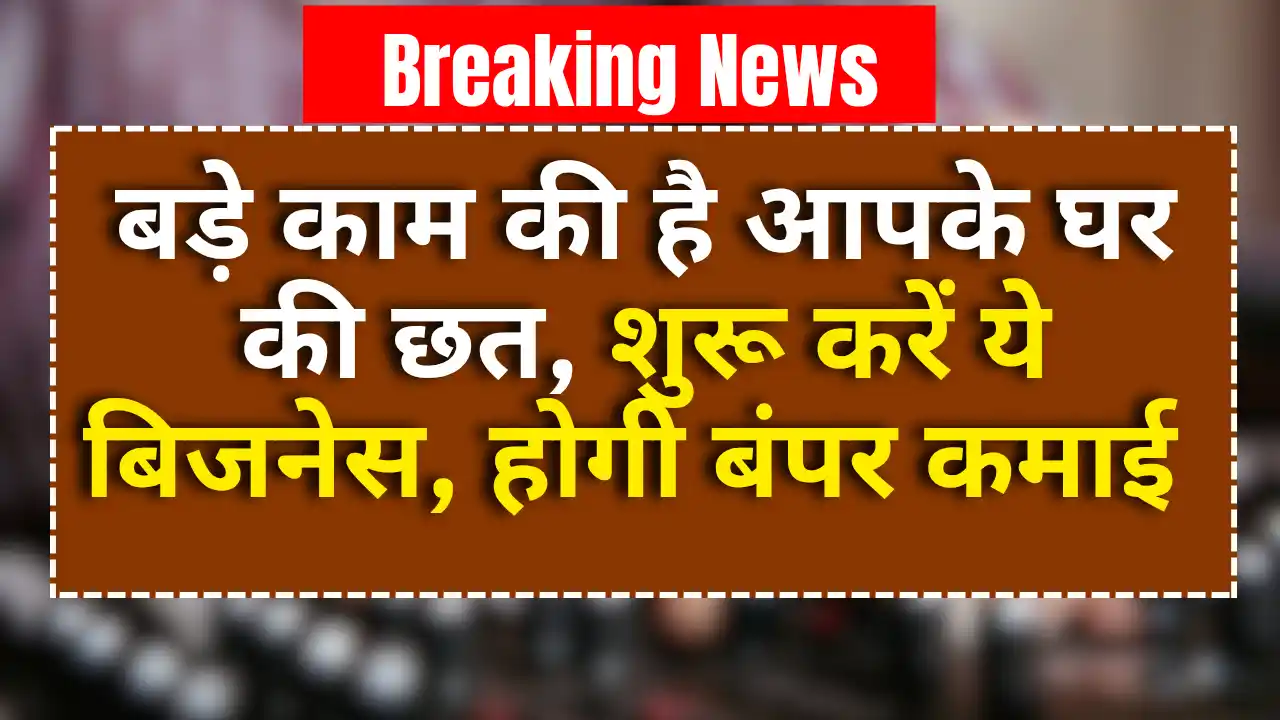 Pearl Farming Business